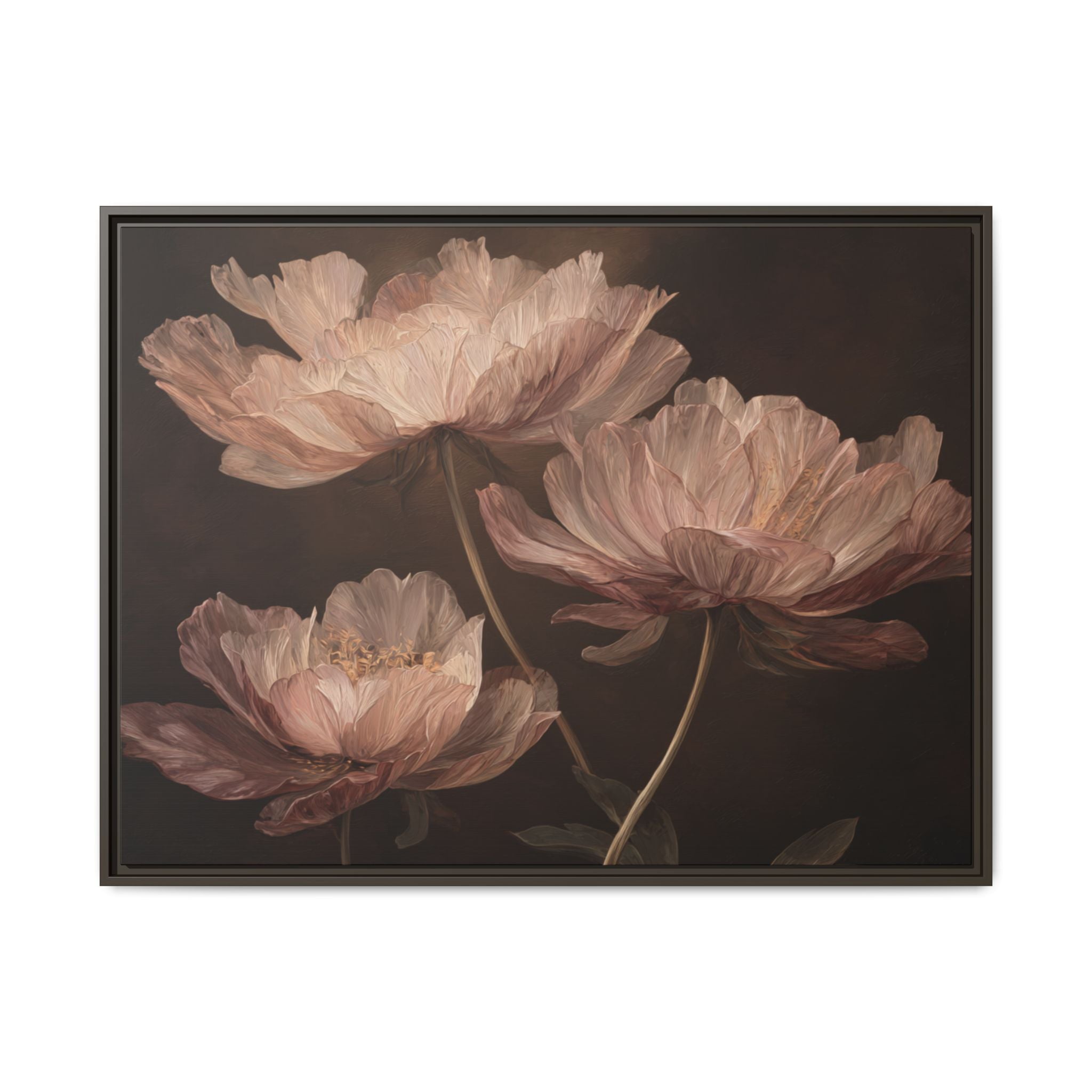 Blush Peony Flowers